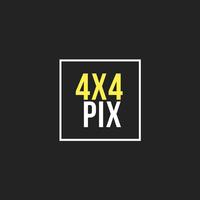 4x4 Pix 截图 2