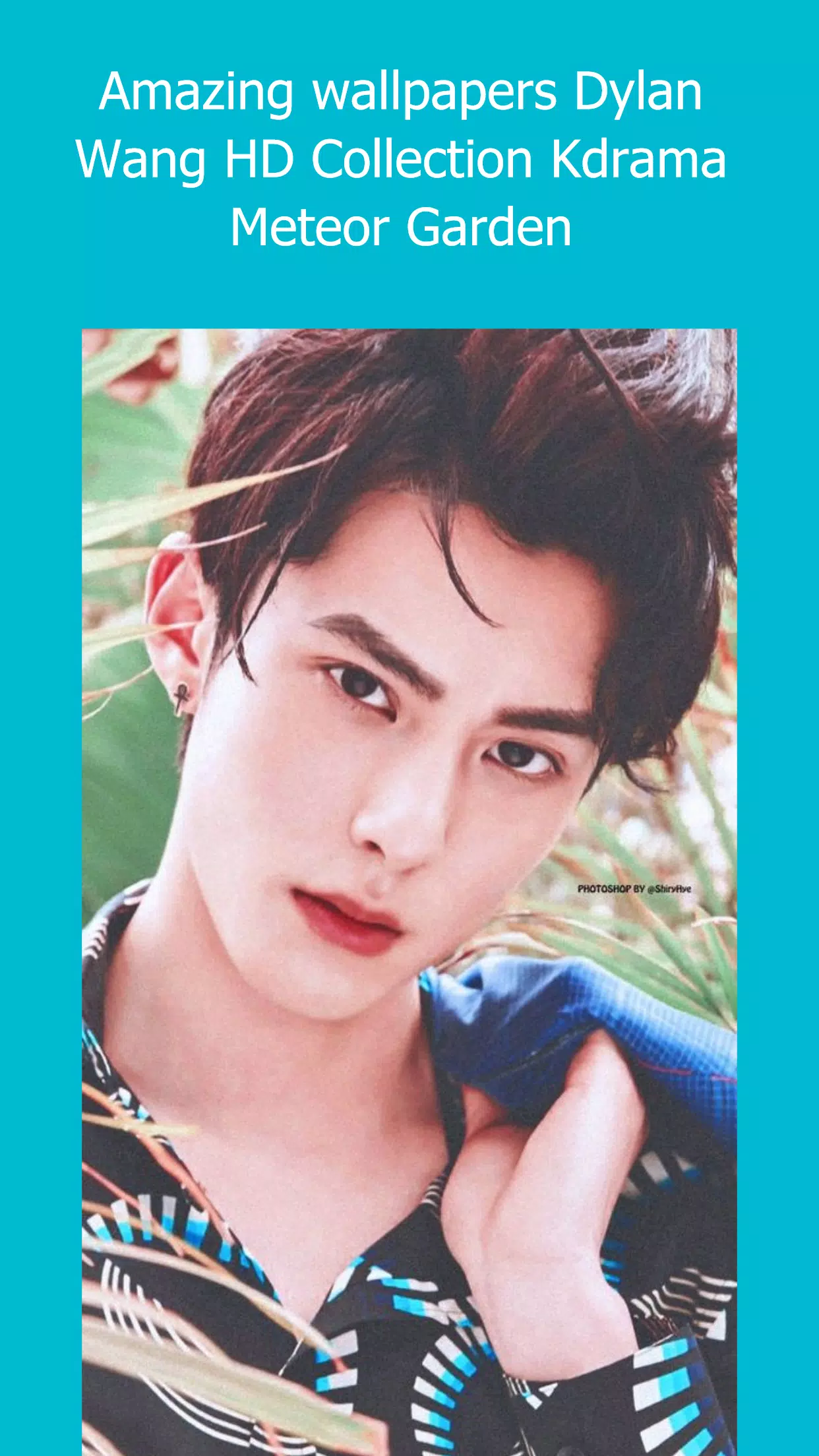 100+] Dylan Wang Wallpapers