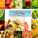 Fruits in Holy Quran APK