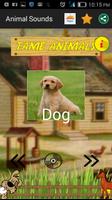 Animal Sounds скриншот 2