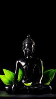 Buddha Wallpaper HD ảnh chụp màn hình 1