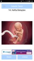 Gün Gün hamilelik Takibi ảnh chụp màn hình 3
