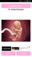 Gün Gün hamilelik Takibi ảnh chụp màn hình 2