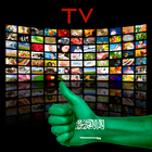 TV channels Saudi Arabia icône