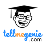 TellmeGenie.com icône