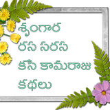 Telugu Sarasam Stories иконка