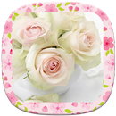 Rose Flower putih APK