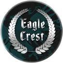 Silver Blue Eagle Theme APK