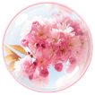 Sakura Theme - Cherry Flower
