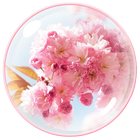 Sakura Theme - Cherry Flower আইকন
