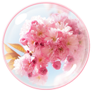 APK Sakura Theme - Cherry Flower