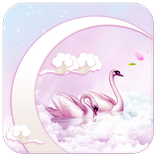 Pink Love Swan Theme