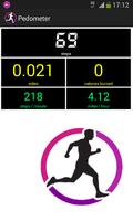 برنامه‌نما Pedometer عکس از صفحه