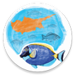 Τα ψάρια της Κύπρου