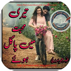 Teri mohabbat mein pagal huy icon
