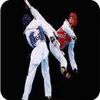 Taekwondo Techniques আইকন