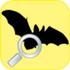 愛蝙蝠 icône