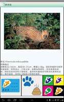 臺灣食肉目動物名錄 اسکرین شاٹ 2