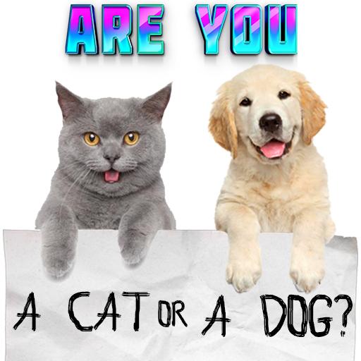 Тест какой ты котик или пёсик.