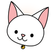 APK 냥냥이 타자연습