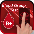 Blood Group Test Prank ikona
