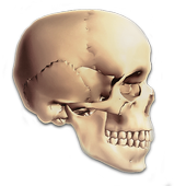 Human Anatomy MCQs icon