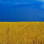 Lua Lua - Learn Ukrainian