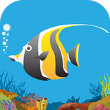 Marine World AR Book ( Old )