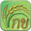Thai Rice Varieties APK