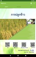 Rice สาระ تصوير الشاشة 3