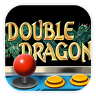 Code Double Dragon Arcade icon
