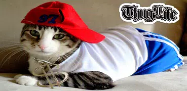 Thug Life Funny Videos