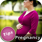 Pregnancy Tips আইকন