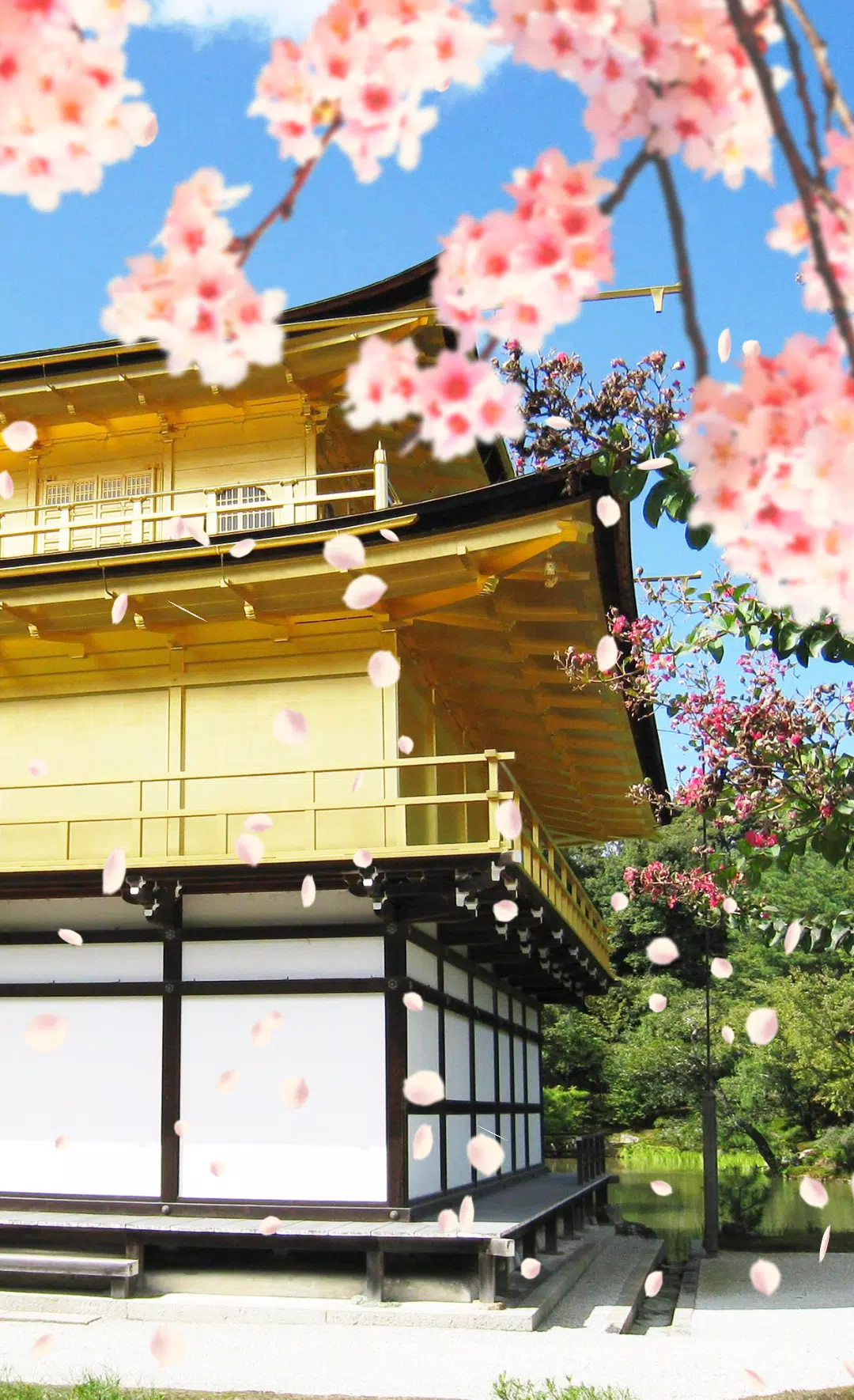 Android向けの 桜舞い散る金閣寺 ライブ壁紙 Apkをダウンロードしましょう