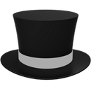 Put A Hat On It (Beta) APK