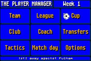 The Soccer Player Manager โปสเตอร์