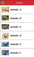 The Animals 海报
