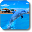 The Dolphin Aquarium Show