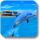 The Dolphin Aquarium Show آئیکن
