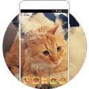 Cute Kitty Puppy Theme: Animal wallpaper APK