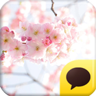 카카오톡 테마 - The CherryBlossom ไอคอน