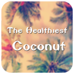 Coconut Theme