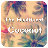 Coconut Theme