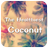 Coconut Theme APK