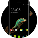 Free Lizard Wallpaper Animal Theme for Oppo F3 APK