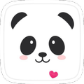 Theme Cute Panda