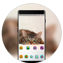 Theme for cute theme sleep fluff cat APK