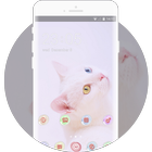 Theme for cute kitten wallpaper icon