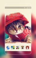 Cute Kitty Theme: Cat in Red Wallpaper HD Affiche