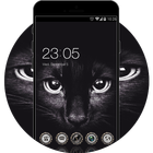 Black Cat Cool Evil Theme: Live Wallpaper icône